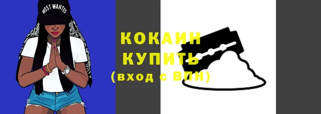 гидра Михайловка