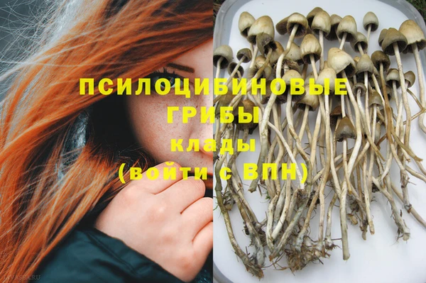 эйфоретик Медногорск