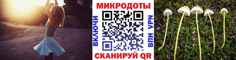 где купить наркоту  Советский  Галлюциногенные грибы Cubensis 