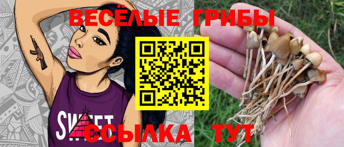Советский  купить   Вход с VPN  Псилоцибиновые грибы Magic Shrooms  Галлюциногенные грибы Psilocybe 